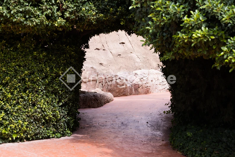 Stone Pathway through Green Arch
