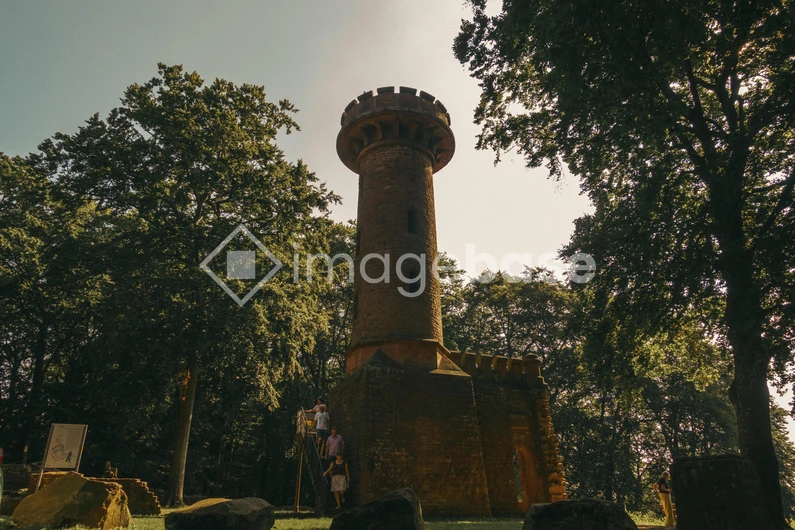 Historic Tower in Forest