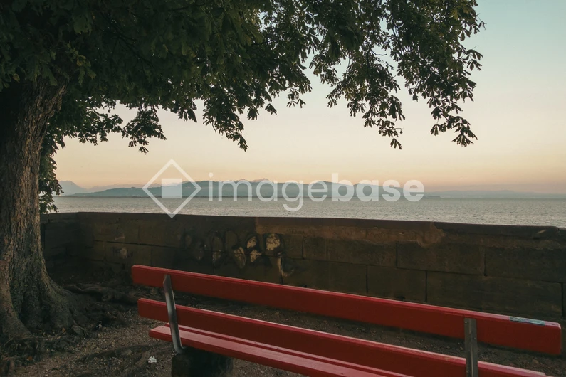 Serene Lakeside View