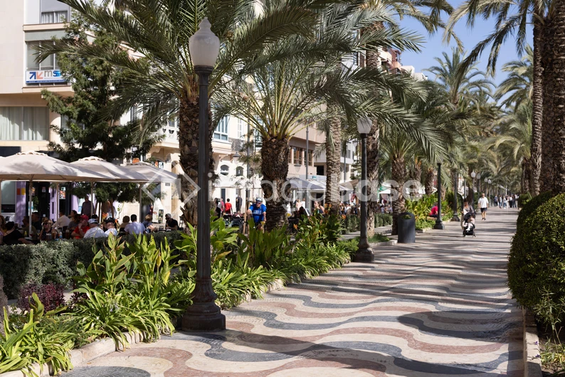 Sunny Promenade