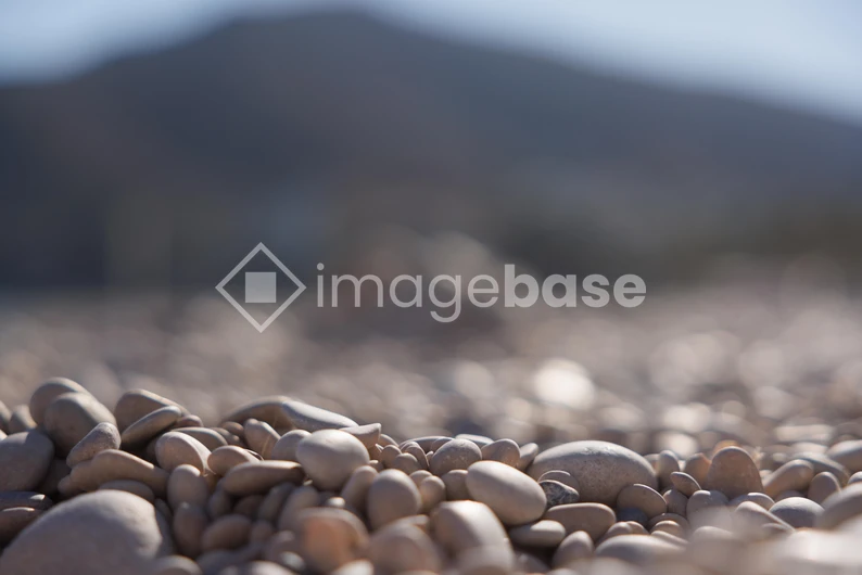 Pebble Beach Close-up