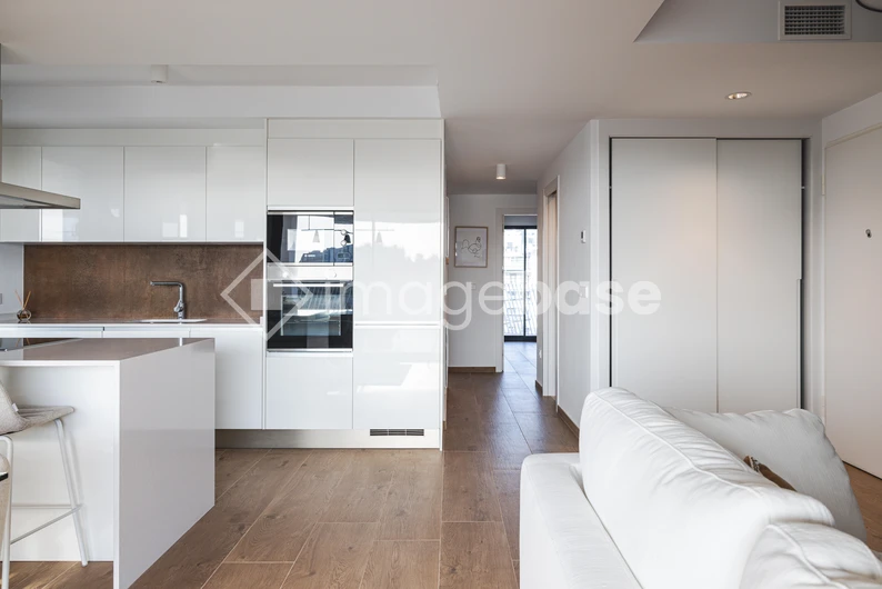 Modern Minimalist Kitchen