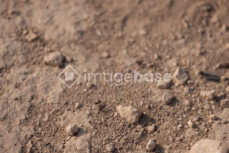 Rugged Terrain Texture