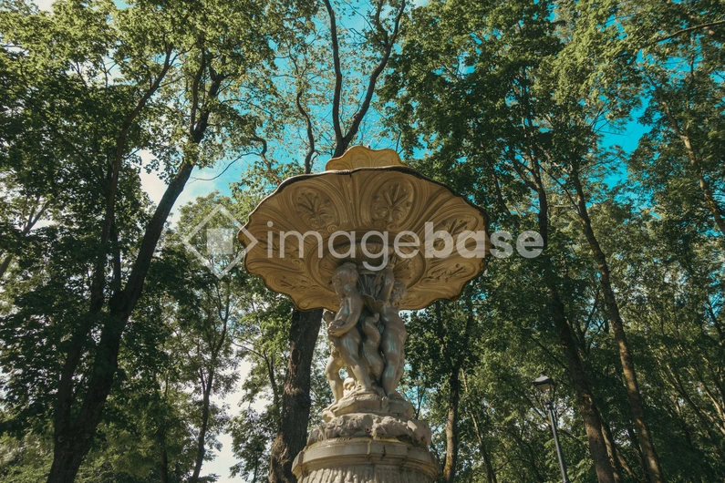 Elegant Fountain in a Forest Park