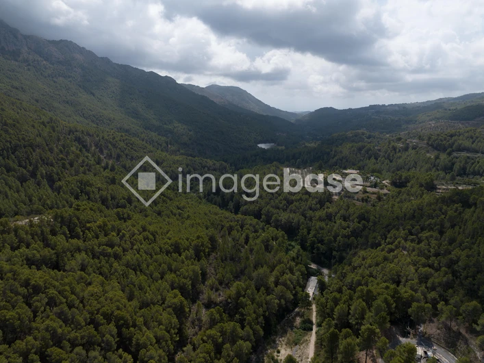 Mountainous Forest Landscape