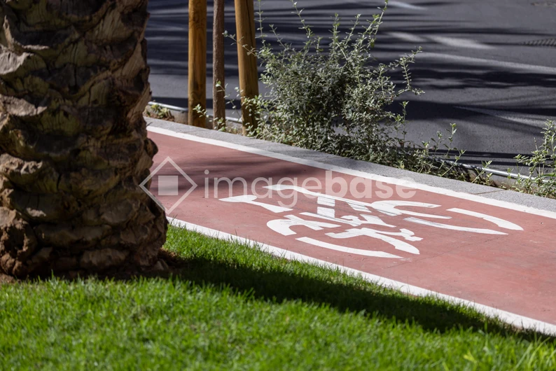 Sunny Bike Path Scene