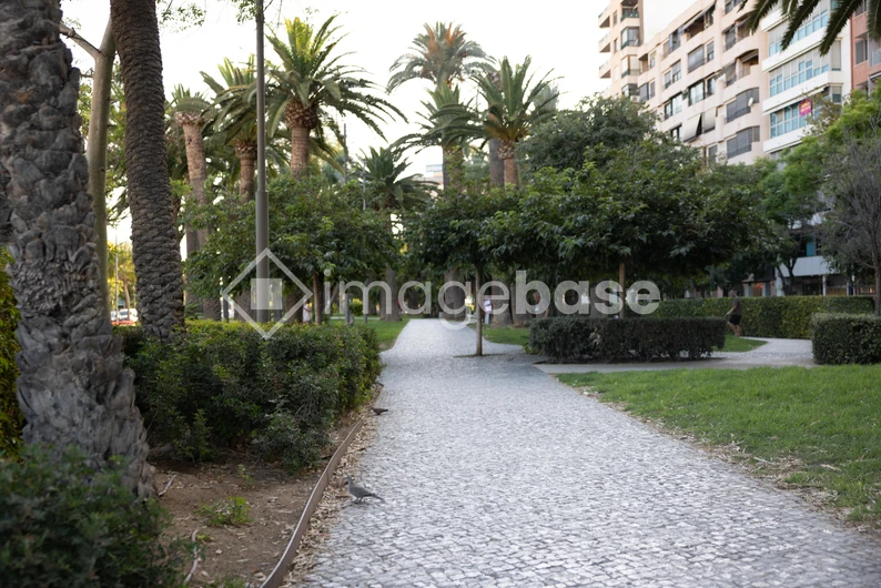 Urban Park Pathway