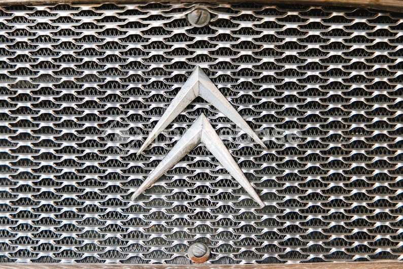 Vintage Car Grille Emblem