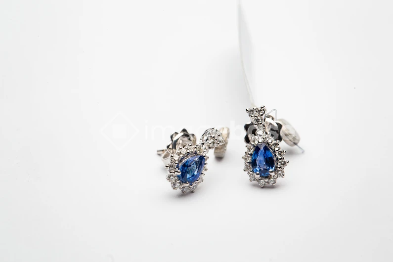 Elegant Blue Earrings