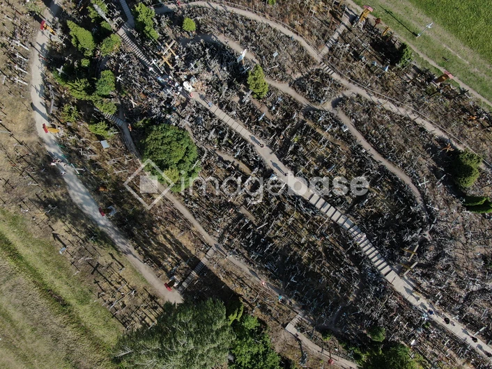 Aerial View of a Forest Path