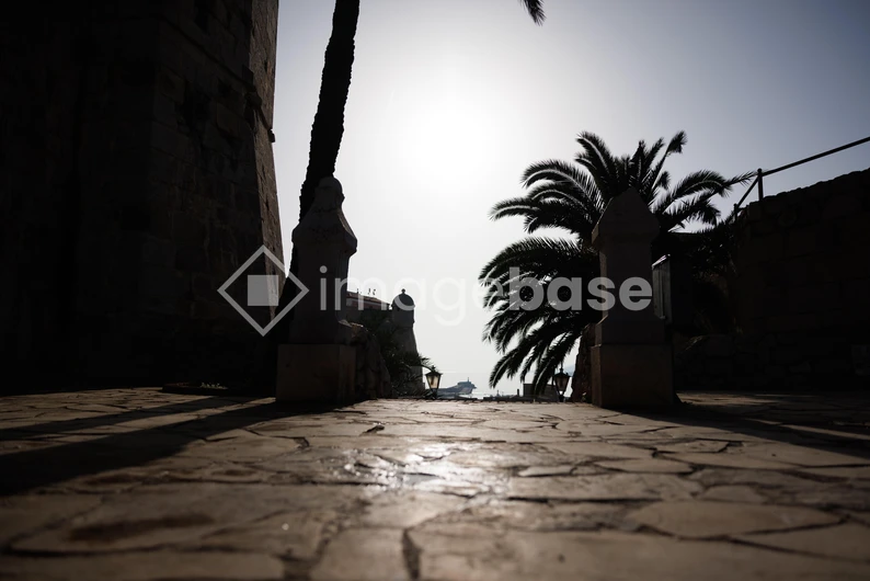 Sunlit Pathway by the Sea