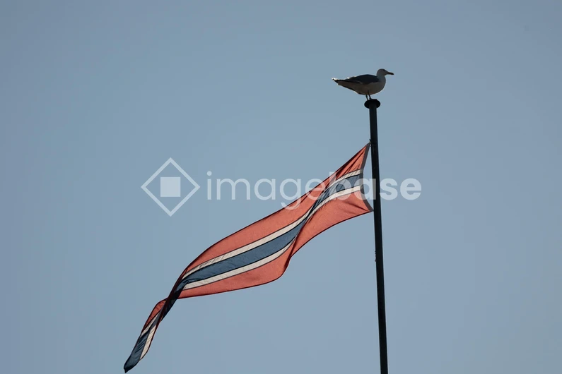 Flag and Seagull