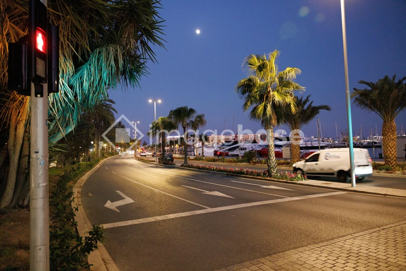 Evening Coastal Road