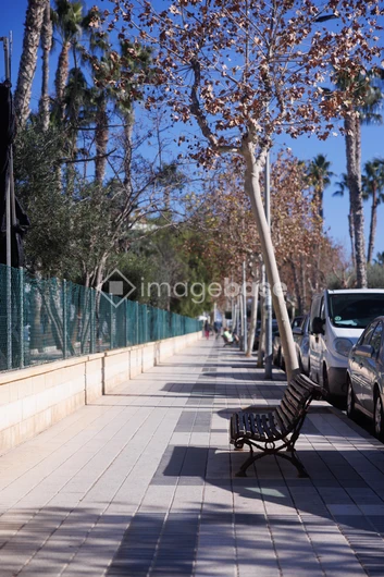 Sunny Urban Pathway