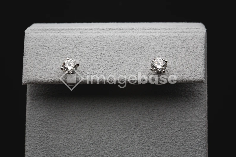 Elegant Diamond Earrings