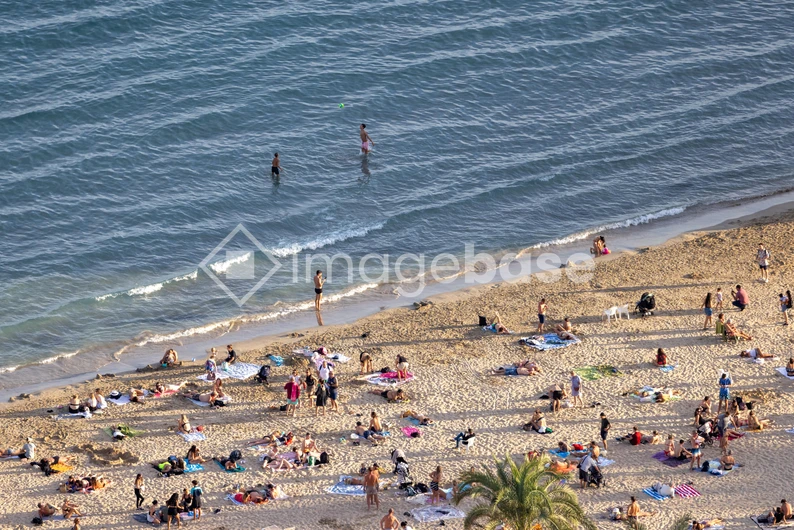Crowded Beach on a Sunny Day