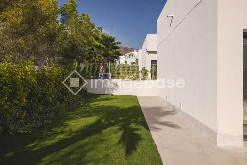 Modern House Exterior with Garden