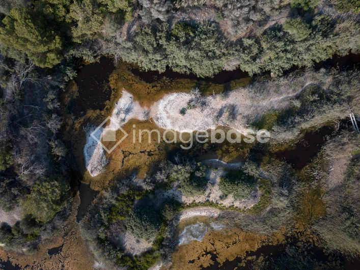 Aerial View of Serene Wetlands