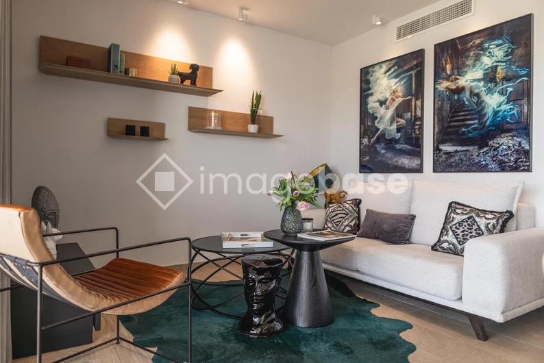 Modern Living Room