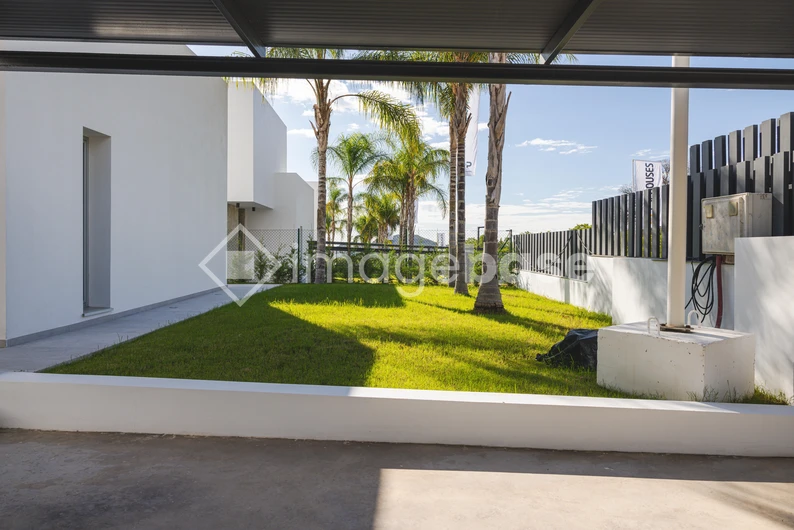 Modern Backyard with Palm Trees