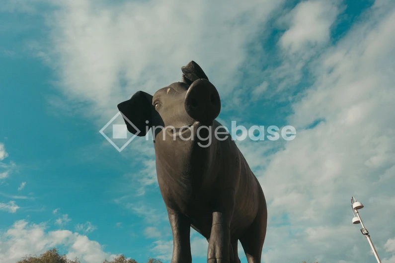 Pig Statue Under Blue Sky