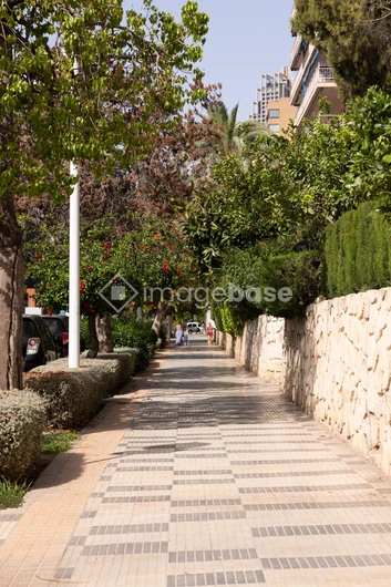 Sunny Pedestrian Path