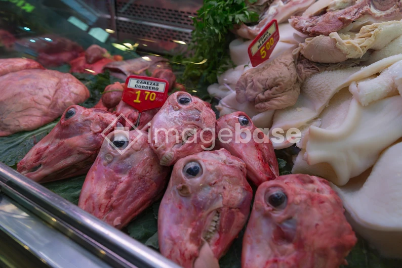 Fish Heads on Display