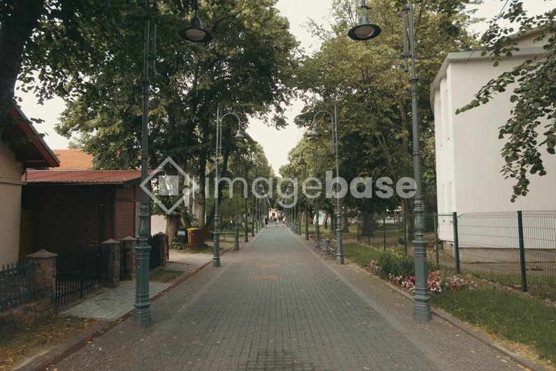 Quiet Tree-Lined Street