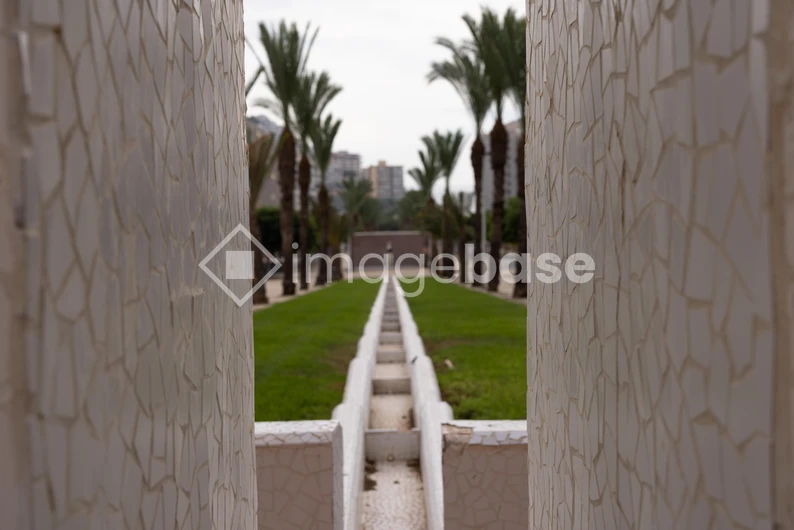 Palm Avenue View