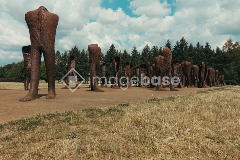 Forest Sculpture Park