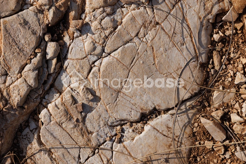 Cracked Rock Surface