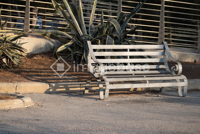 Park Bench by the Path