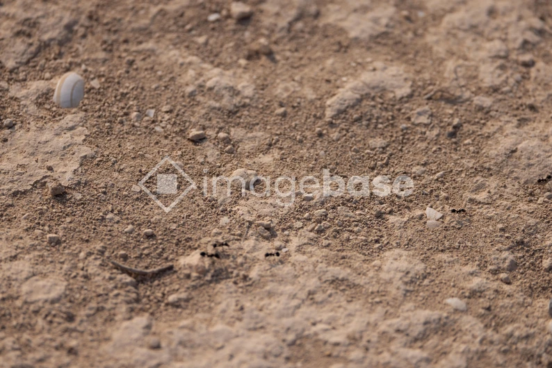 Earthy Texture