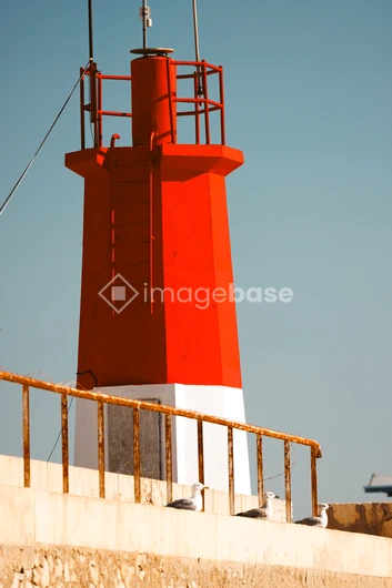 Coastal Lighthouse with Seagulls