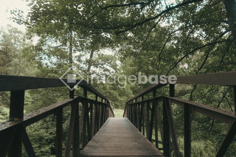 Wooded Bridge Pathway
