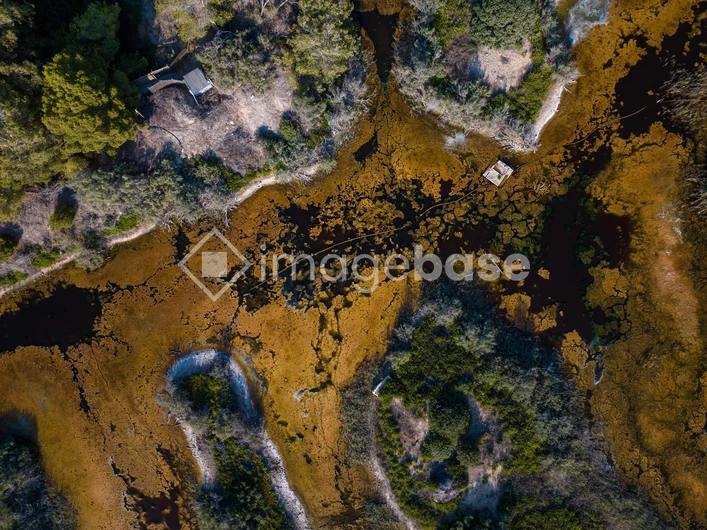 Aerial View of Wetlands