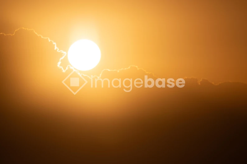 Golden Sunset