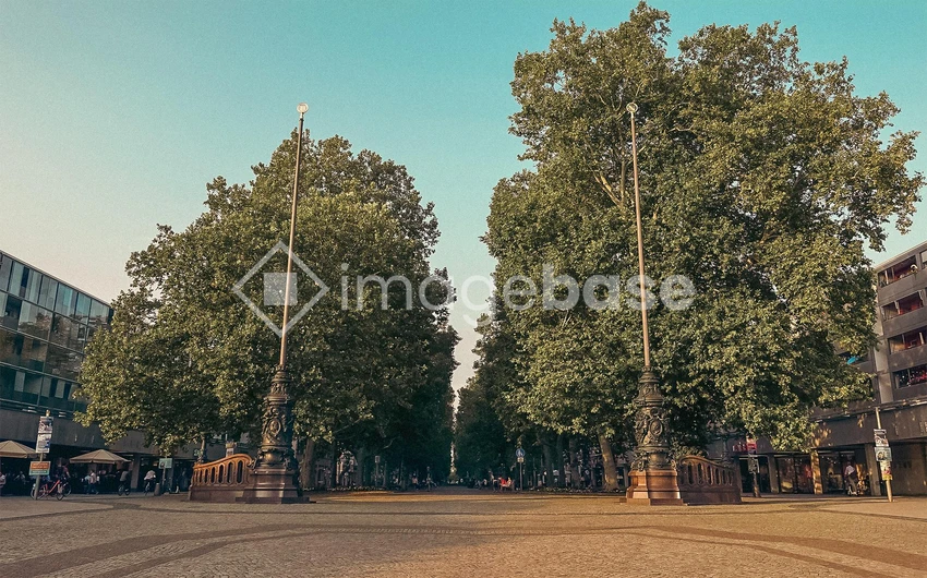Sunny City Street