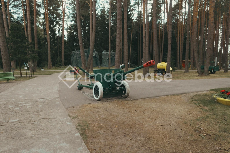 Cannon in a Forest Park