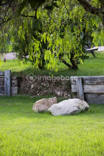Peaceful Park Setting