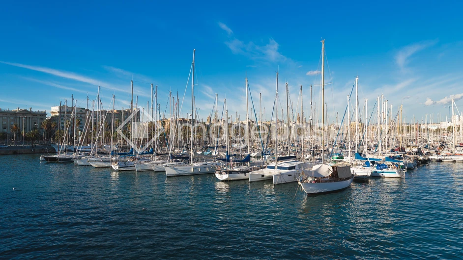 Scenic Marina View