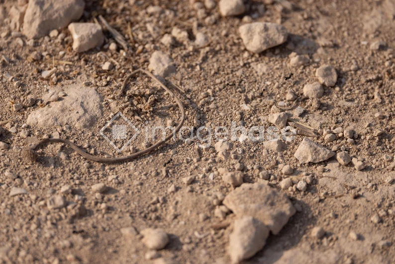 Rocky Terrain