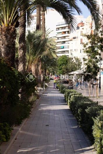 Sunny Urban Promenade
