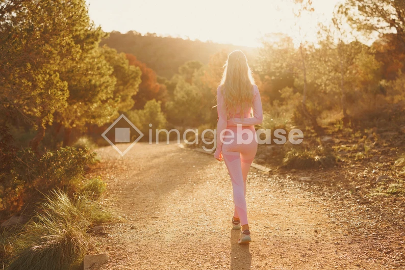 Sunlit Outdoor Walk