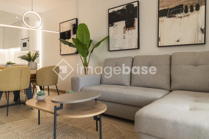 Modern Living Room Interior