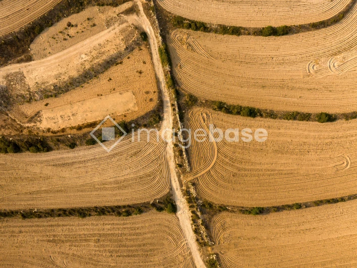 Aerial View of Agricultural Fields