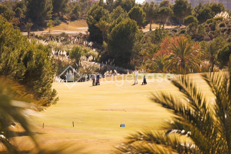 Scenic Golf Course