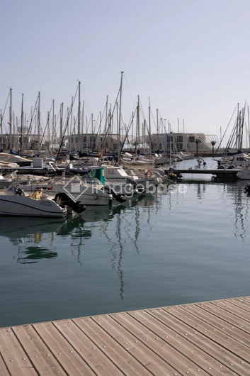 Serene Marina View