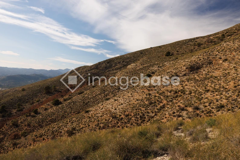 Rolling Hills Landscape