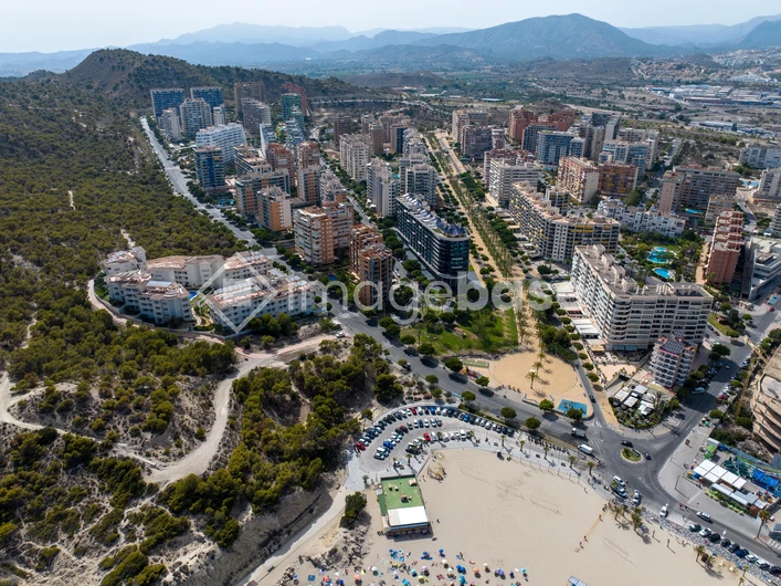 Coastal Cityscape